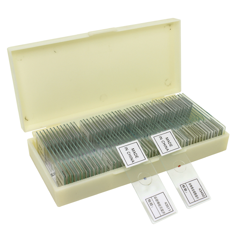 50 Biological Specimens of Microscopic Biosection in Box