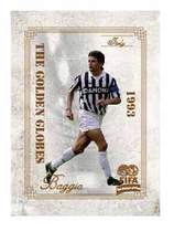 In 1993 Mr. Robert Bacho refracted the star card