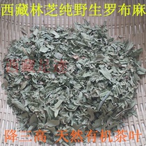 50g Tibet Nyingchi Plateau wild apocynum natural tea beverage green pollution-free