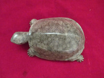 Natural stone fossils Xiangxi Zhangjiajie specialty tortoise stone carving Longevity Turtle boutique turtle