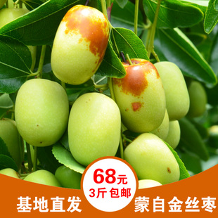 云南蒙自冰糖枣 新鲜青