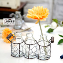 Creative handmade personalized wire mesh glass vase hydroponics dining table flower arrangement decoration Tea Art small ornaments