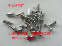 GB109 flat head Iron rivet flat head galvanized rivet M5 * 6 8 10-30 series kg Price recommended