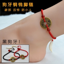 Adult really black dog teeth wolf tooth pendant copper coin hand-woven baby baby transfer anti-fright red rope anklet female