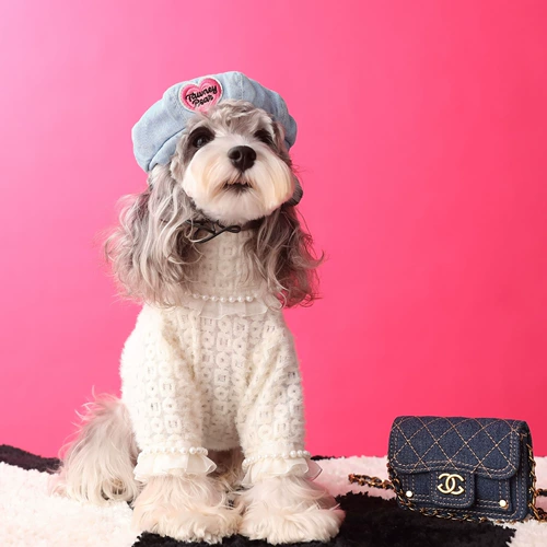 Осенняя и зимняя собачья одежда с домашними животными с домашними животными