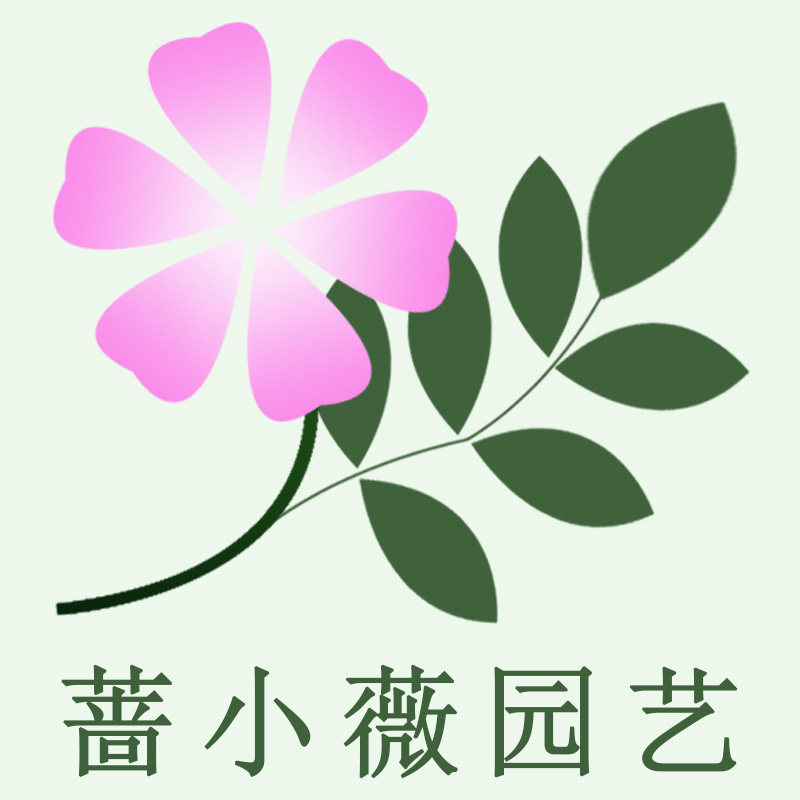 蔷小薇园艺